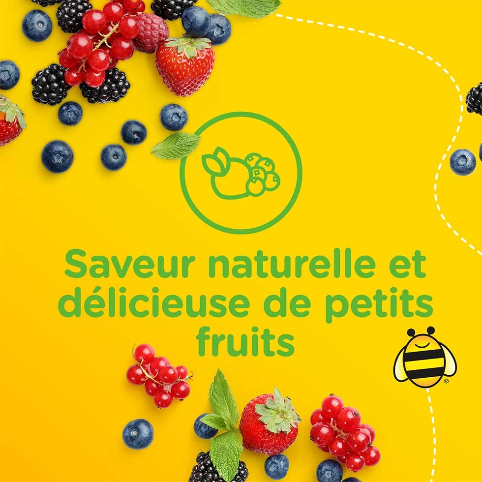 Petits fruits sur une surface jaune avec la mention « Saveur naturelle et délicieuse de petits fruits » 