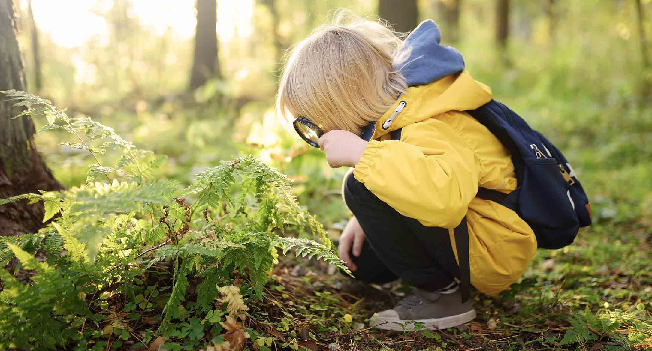 Un petit enfant explorant la nature avec une loupe.